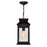CWI Lighting Milford 1 Light 15"H Outdoor Pendant, Black/Seedy