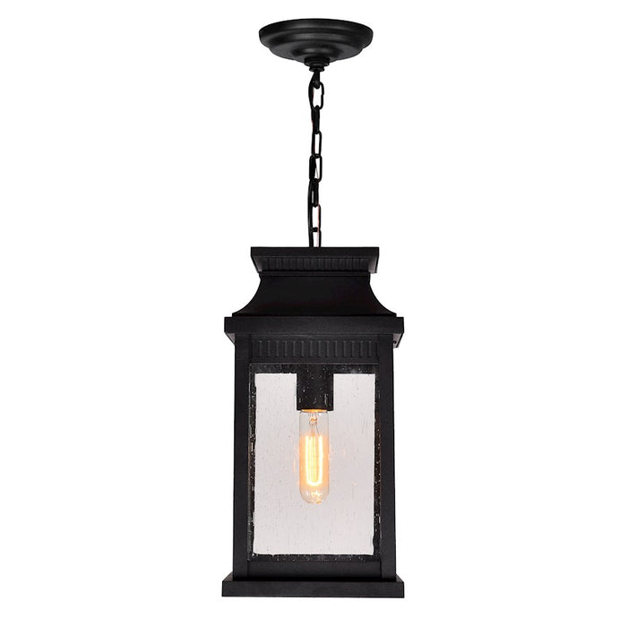 CWI Lighting Milford 1 Light 15"H Outdoor Pendant, Black/Seedy