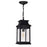 CWI Lighting Milford 1 Light 15"H Outdoor Pendant, Black/Seedy