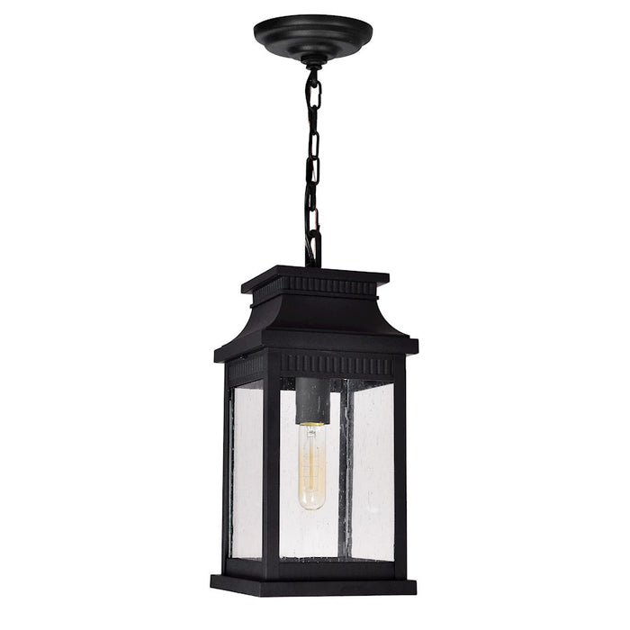 CWI Lighting Milford 1 Light 15"H Outdoor Pendant, Black/Seedy