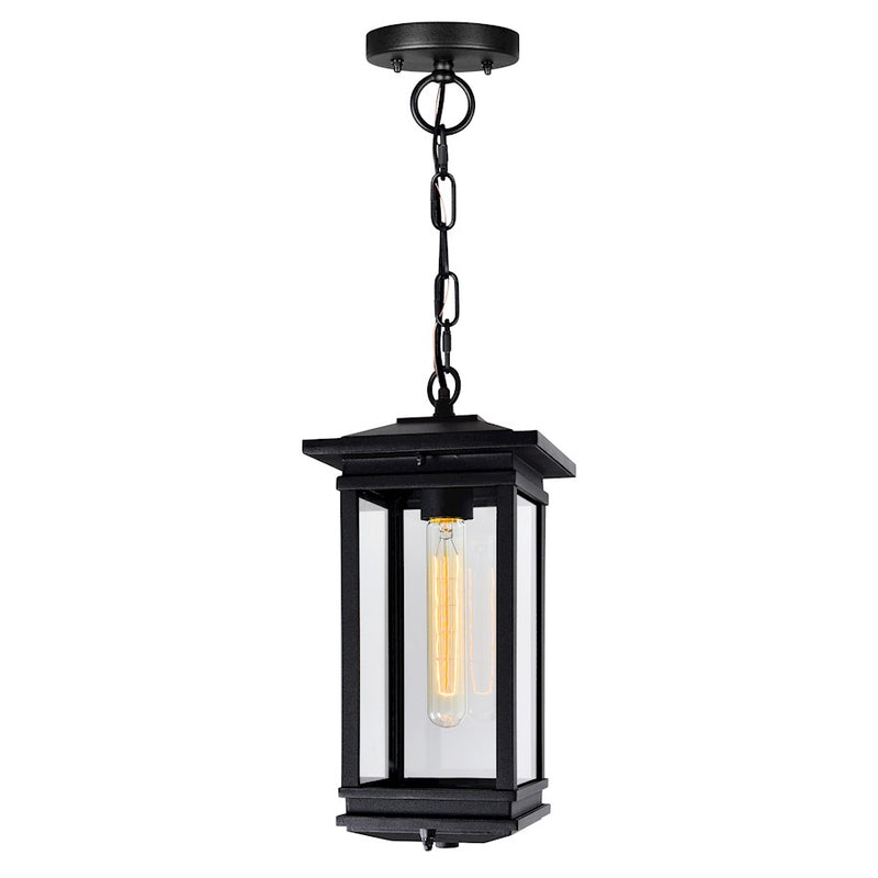 CWI Lighting Oakwood 1 Light Outdoor Pendant, Black/Clear