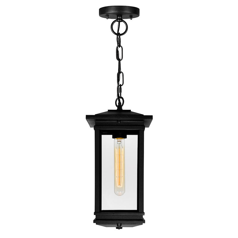 CWI Lighting Oakwood 1 Light Outdoor Pendant, Black/Clear