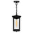 CWI Lighting Oakwood 1 Light Outdoor Pendant, Black/Clear