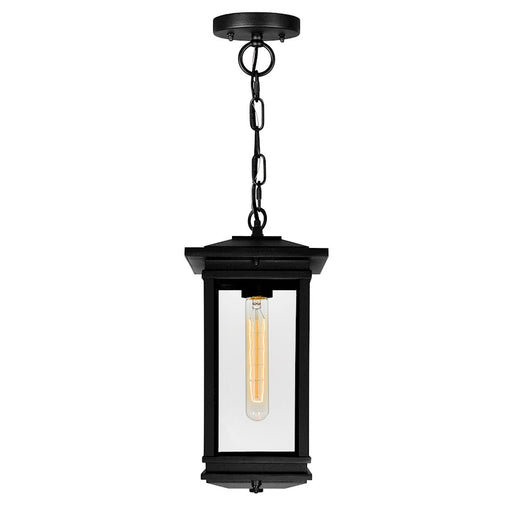 CWI Lighting Oakwood 1 Light Outdoor Pendant, Black/Clear