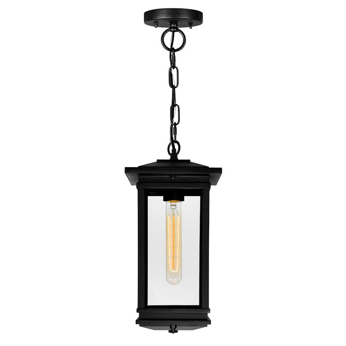 CWI Lighting Oakwood 1 Light Outdoor Pendant, Black/Clear