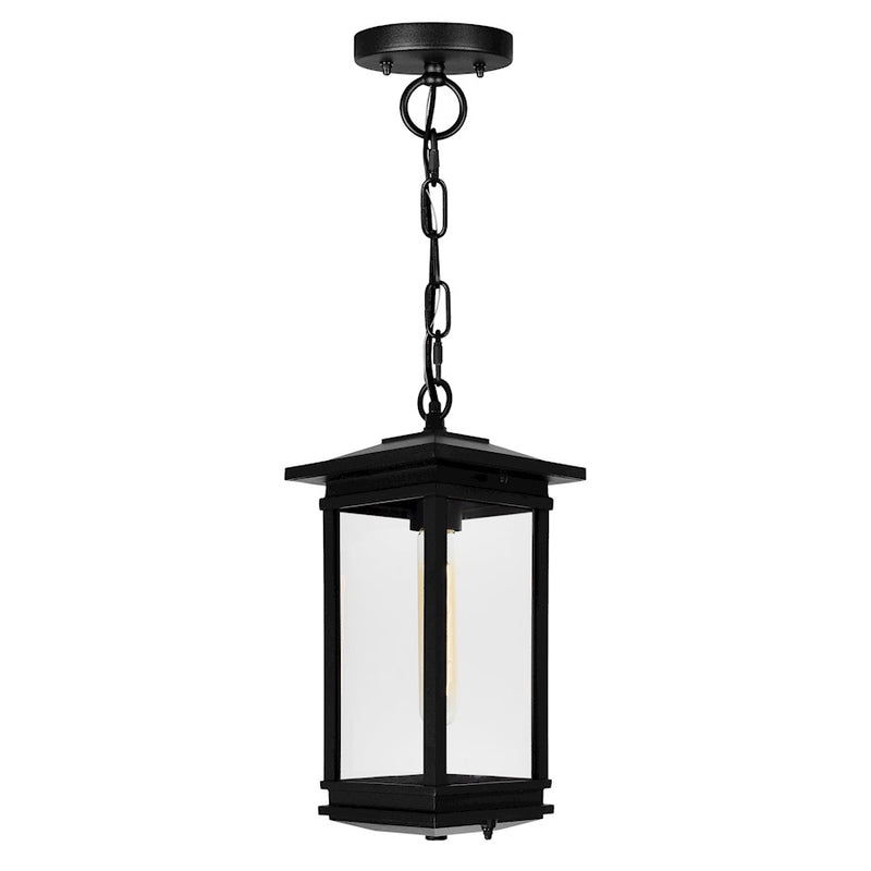 CWI Lighting Oakwood 1 Light Outdoor Pendant, Black/Clear