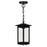 CWI Lighting Oakwood 1 Light Outdoor Pendant, Black/Clear