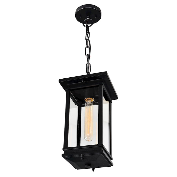 CWI Lighting Oakwood 1 Light Outdoor Pendant, Black/Clear