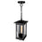 CWI Lighting Oakwood 1 Light Outdoor Pendant, Black/Clear