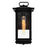 CWI Lighting Oakwood 1 Light Outdoor Wall Light, Black/Clear