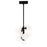 CWI Lighting Arya 8 Light Pendant, Black