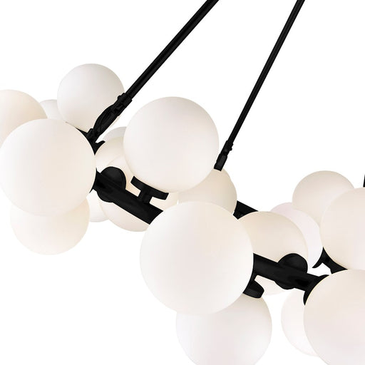 CWI Lighting Arya 25 Light Chandelier, Black