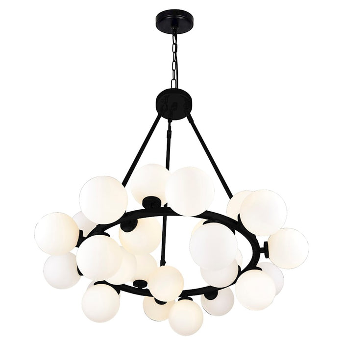 CWI Lighting Arya 25 Light Chandelier, Black
