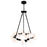 CWI Lighting Arya 25 Light Chandelier, Black