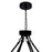 CWI Lighting Arya 45 Light Chandelier, Black