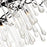 CWI Lighting Anita 6 Light Down Chandelier, Black