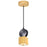 CWI Lighting Saleen 4" Mini Pendant, Sun Gold/Black - 1156P4-625