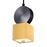 CWI Lighting Saleen 4" Mini Pendant, Sun Gold/Black