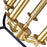 CWI Lighting Tudor 5 Light Up Chandelier, Satin Gold/Black