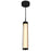 CWI Lighting Neva Mini Pendant, Black/Clear