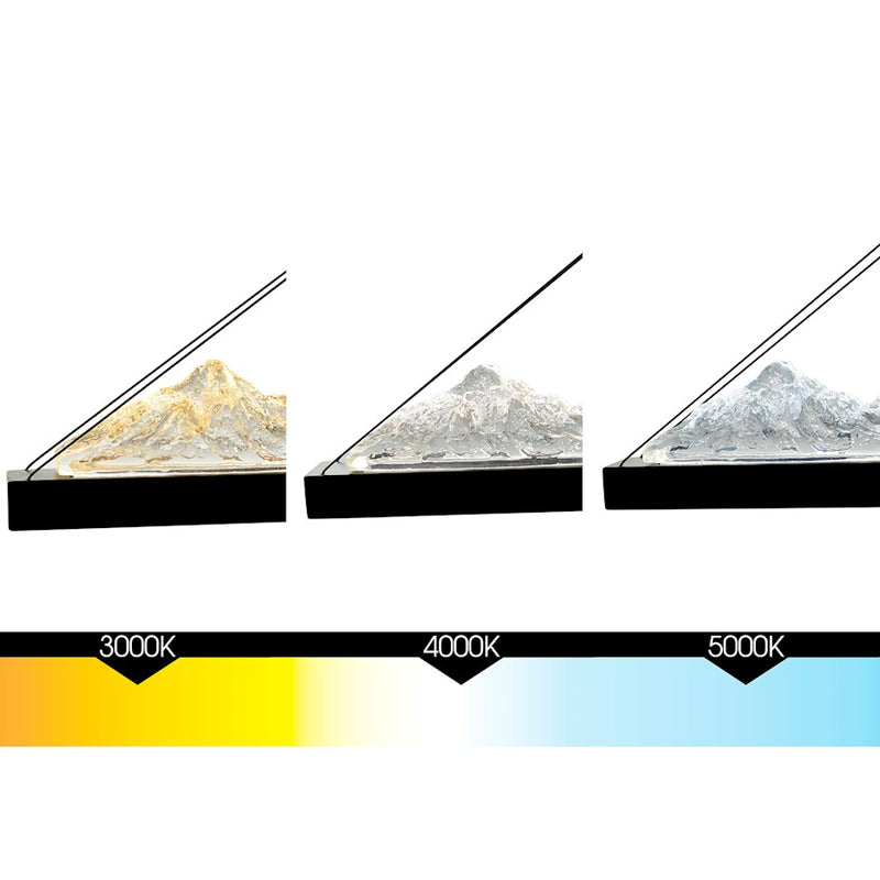 CWI Lighting Himalayas 62" Chandelier, Black