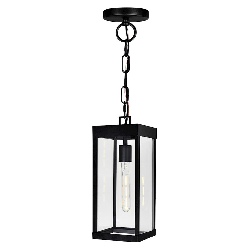 CWI Lighting Windsor 1 Light Outdoor Ceiling Light, Black/Clear