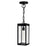 CWI Lighting Windsor 1 Light Outdoor Ceiling Light, Black/Clear - 1695P7-1-101