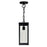 CWI Lighting Windsor 1 Light Outdoor Ceiling Light, Black/Clear