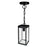 CWI Lighting Windsor 1 Light Outdoor Ceiling Light, Black/Clear