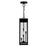 CWI Lighting Windsor 4 Light Outdoor Ceiling Light, Black/Clear