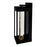 CWI Lighting Rochester Outdoor Wall Light, Black/Clear 101 C