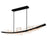 CWI Lighting Arcus LED 70" Black Chandelier/Handcrafted Glass