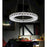 CWI Lighting Ring 16" Chandelier, Stainless Steel