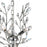 CWI Lighting Ivy 9 Light Chandelier, Chrome