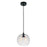 CWI Lighting Glass 2 Light Down Mini Pendant, Black/Clear - 5553P12-Clear-2L