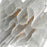 CWI Lighting Daisy 16 Light Down Chandelier, Chrome