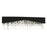 CWI Lighting Havely 4 Light 24" Wall Light, Chrome