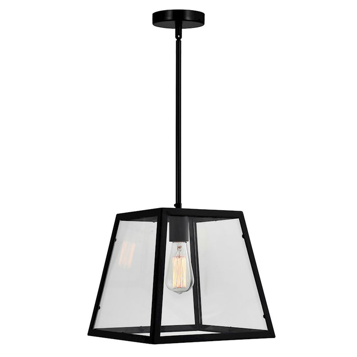 CWI Lighting Alyson 1 Light Down Mini Pendant, Black/Clear