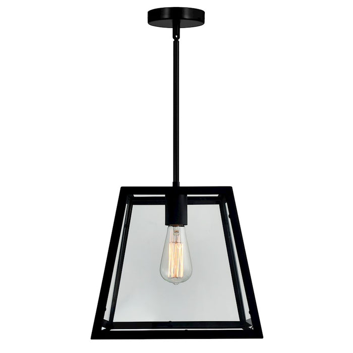 CWI Lighting Alyson 1 Light Down Mini Pendant, Black/Clear
