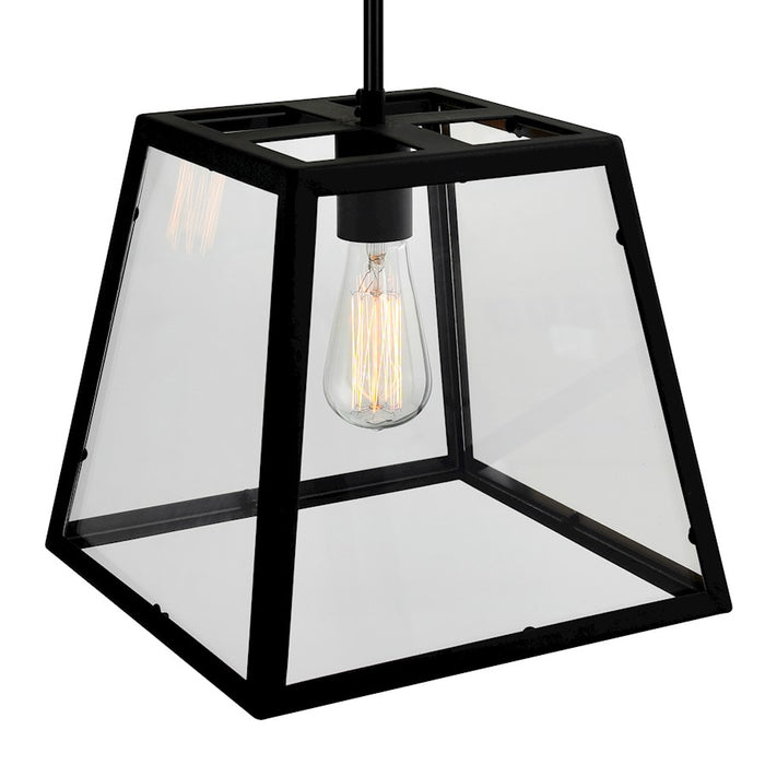 CWI Lighting Alyson 1 Light Down Mini Pendant, Black/Clear