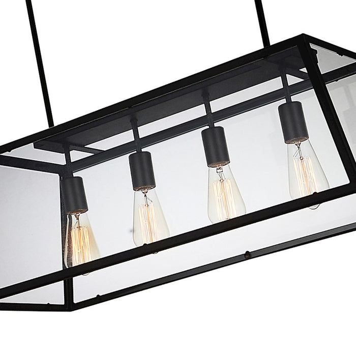 CWI Lighting Alyson 4 Light Down Chandelier, Black/Clear
