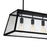 CWI Lighting Alyson 4 Light Down Chandelier, Black/Clear