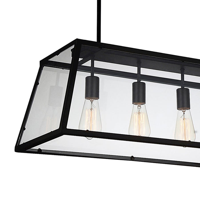 CWI Lighting Alyson 4 Light Down Chandelier, Black/Clear