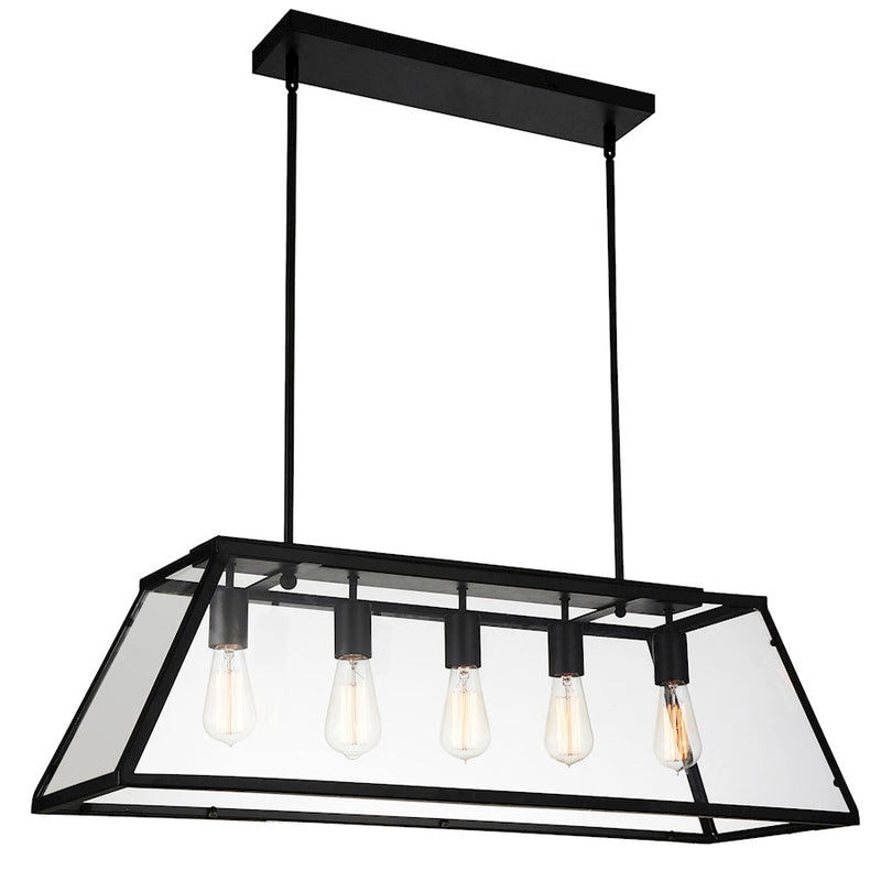 CWI Lighting Alyson 5 Light Down Chandelier, Black/Clear