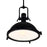 CWI Lighting Show 1 Light Down Pendant, Black/Frosted