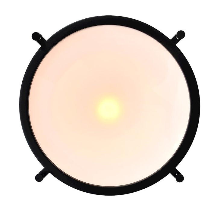 CWI Lighting Show 1 Light Down Pendant, Black/Frosted