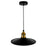 CWI Lighting Brave 1 Light 10" Mini Pendant, Black