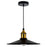 CWI Lighting Brave 1 Light 10" Mini Pendant, Black