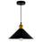 CWI Lighting Brave 1 Light Mini Pendant, Black - 9605P10-1-101-B