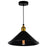 CWI Lighting Brave 1 Light Mini Pendant, Black